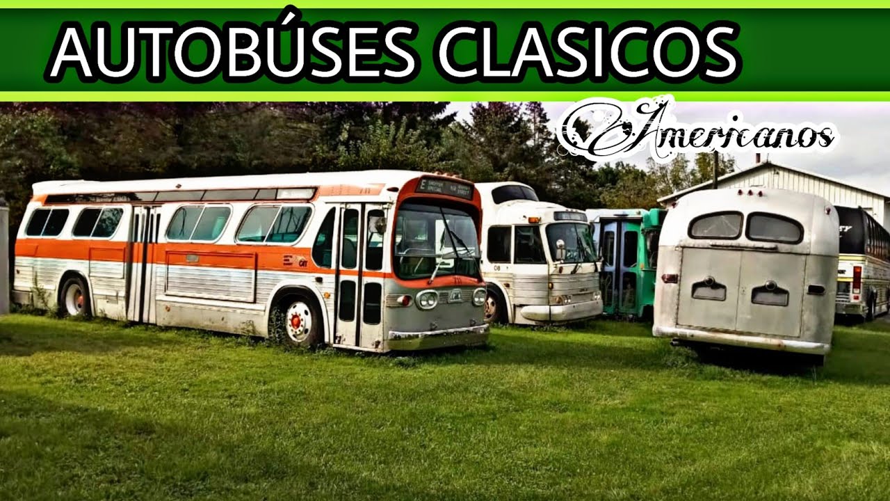 AUTOBUSES CLASICOS AMERICANOS