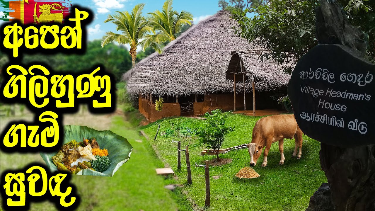 ගැමි සුවඳ සොයා...🥰 | 𝐏𝐢𝐧𝐧𝐚𝐰𝐚𝐥𝐚 | 𝐕𝐢𝐥𝐥𝐚𝐠𝐞 𝐋𝐢𝐟𝐞 | 𝐒𝐫𝐢 𝐋𝐚𝐧𝐤𝐚 | 𝐕𝐥𝐨𝐠 #020