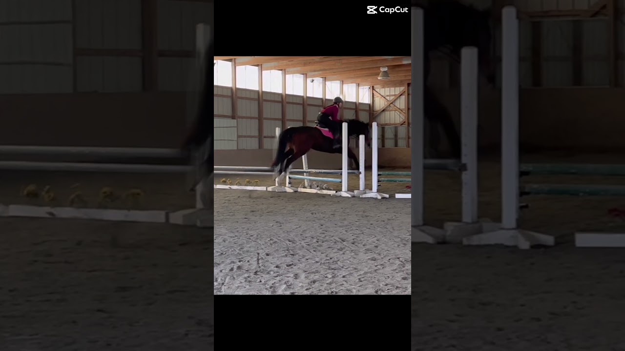 We can ✨fly✨ &mdash; I got a little launched😭
