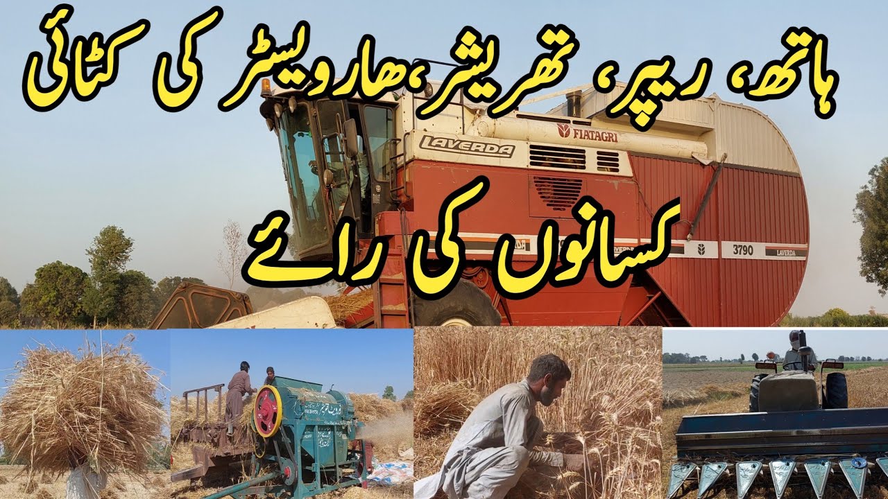 Harvester |Threasure and Rapper Say Gandam Ki katai ma Fark