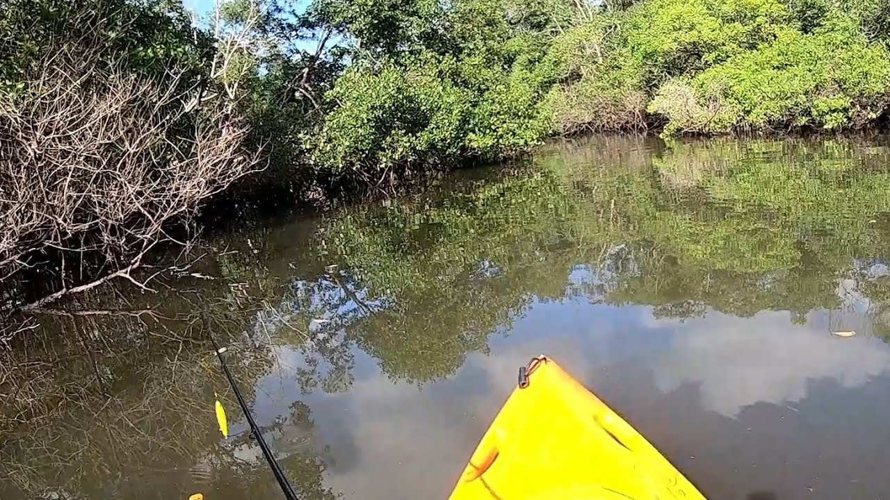 FOI NESTE LOCAL QUE O INESPERADO ACONTECEU! Pescaria de robalo no plug.