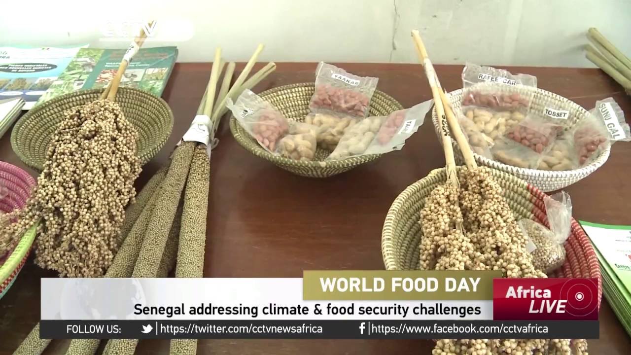 Senegal holds a series of events to address climate & food security challenges