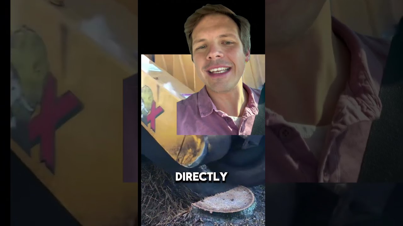 How to start a B2B stump grinding biz #stumpgrinding #homeservice #sidehustleideas #smallbusiness
