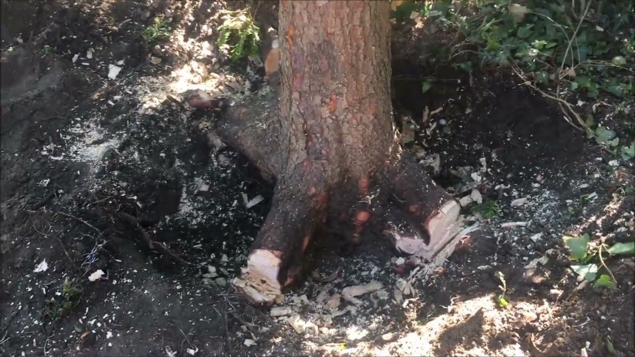 STRONK VERWIJDEREN MET MECHANISCH VOORDEEL