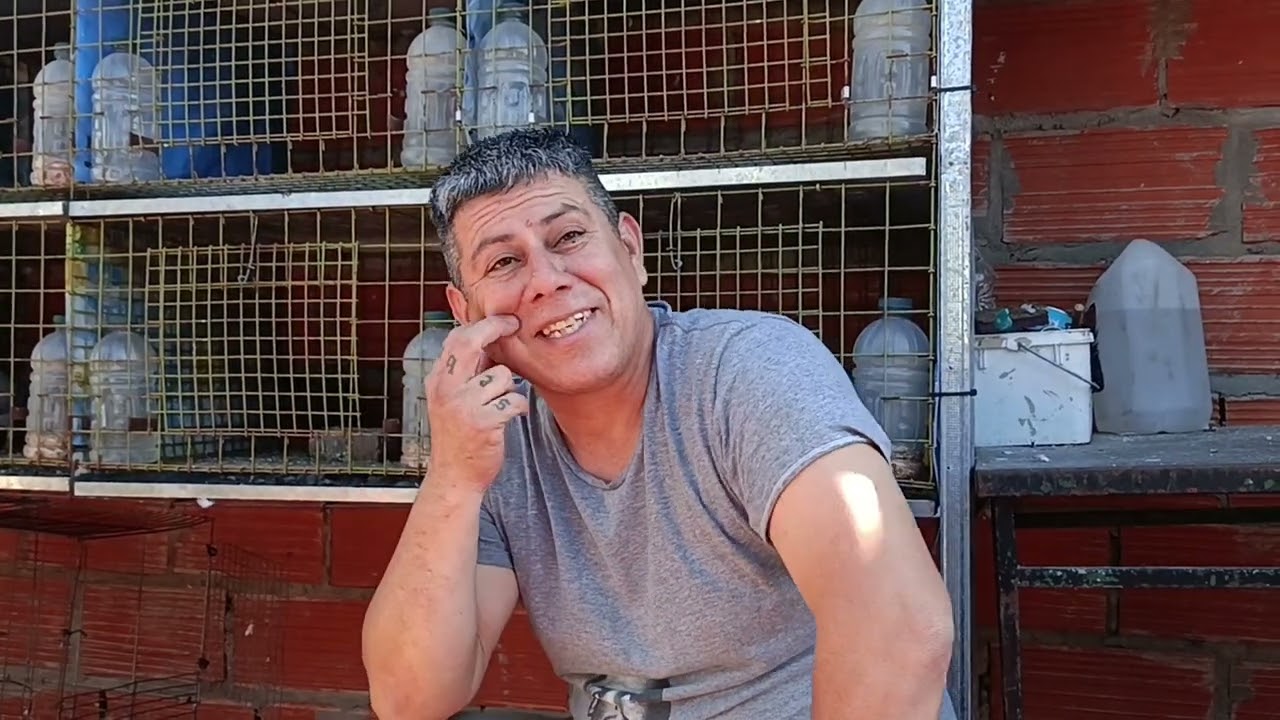 AFICIONADO GERMAN ALIAS EL (PERRO) LINEA DEL COLIMBA