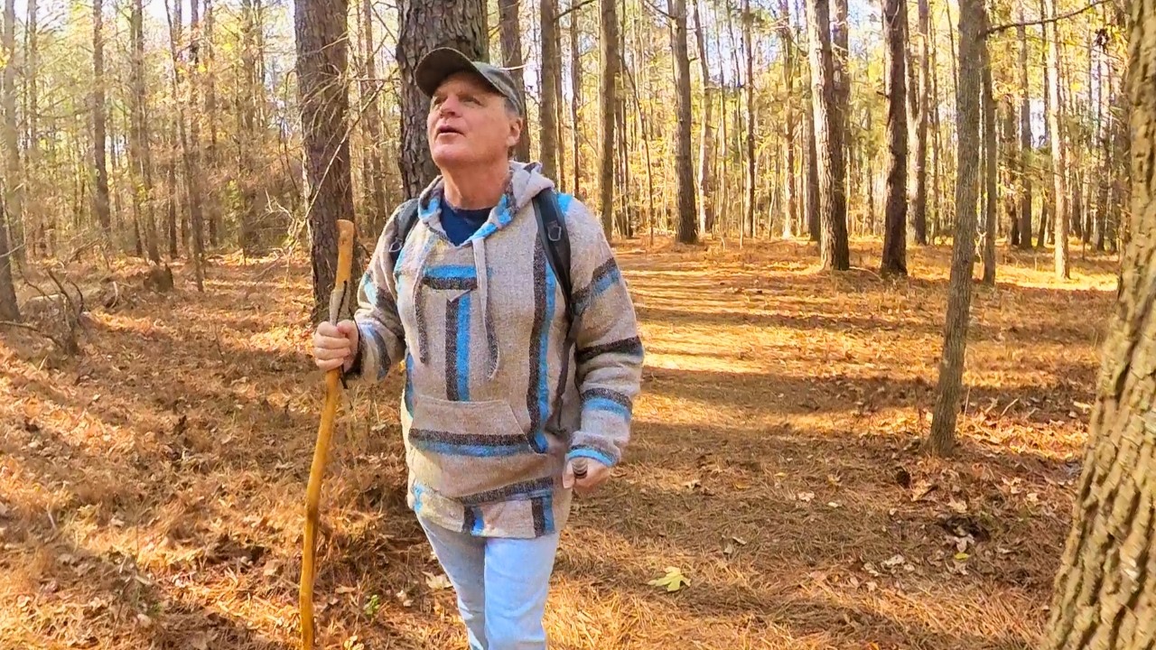 Abiding in Christ: A Peaceful Walk with God