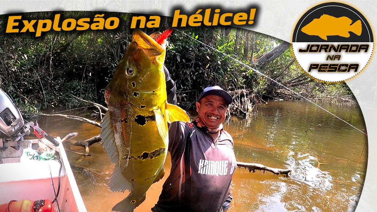 Os maiores TUCUNARÉS VAZZOLERIS já vistos. Só 80 ups!!!! Só pancada na superfície!