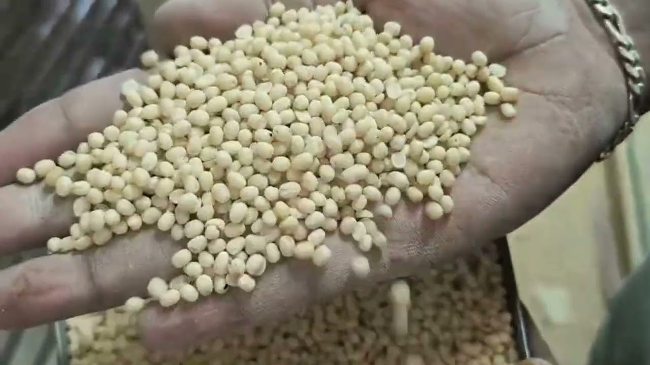 urad dall - sri shivani agro processing industreis - tenali