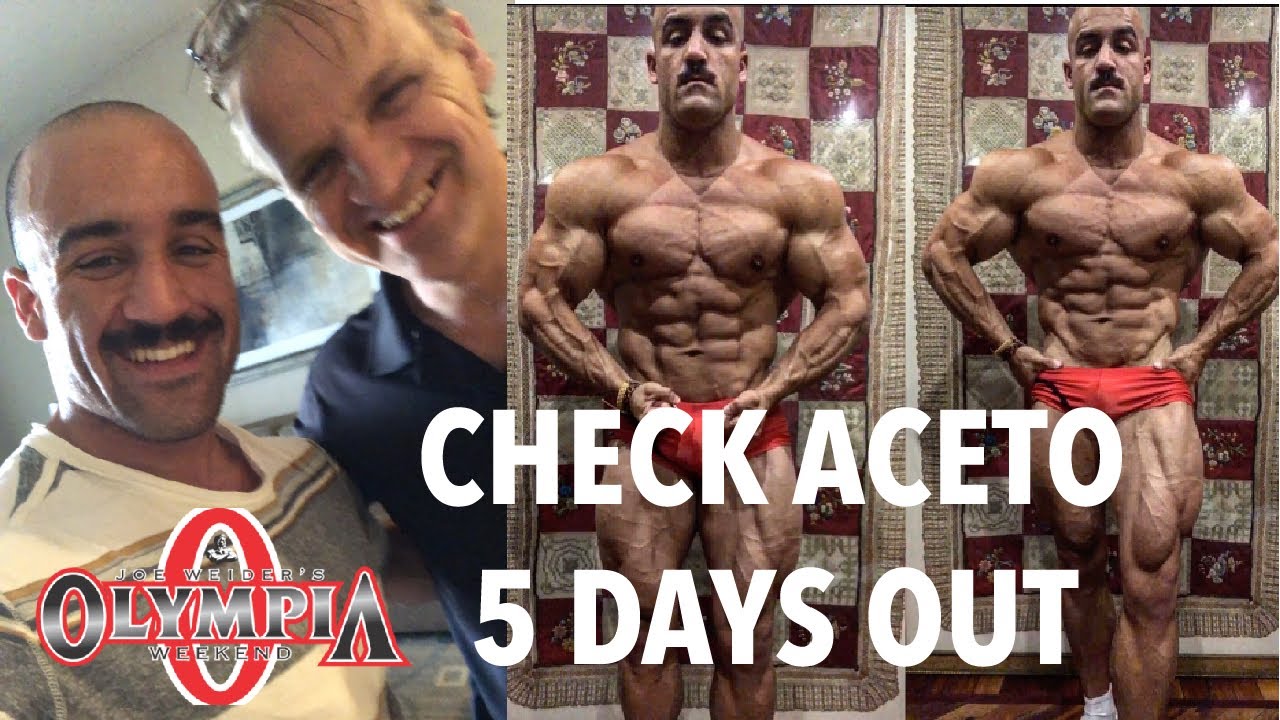 MR OLYMPIA | CHECK con ACETO | 5 days out