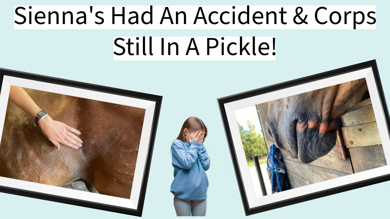 Sienna’s Had An Accident & Corps Still In A Skin Flare Up | Equestrian Life