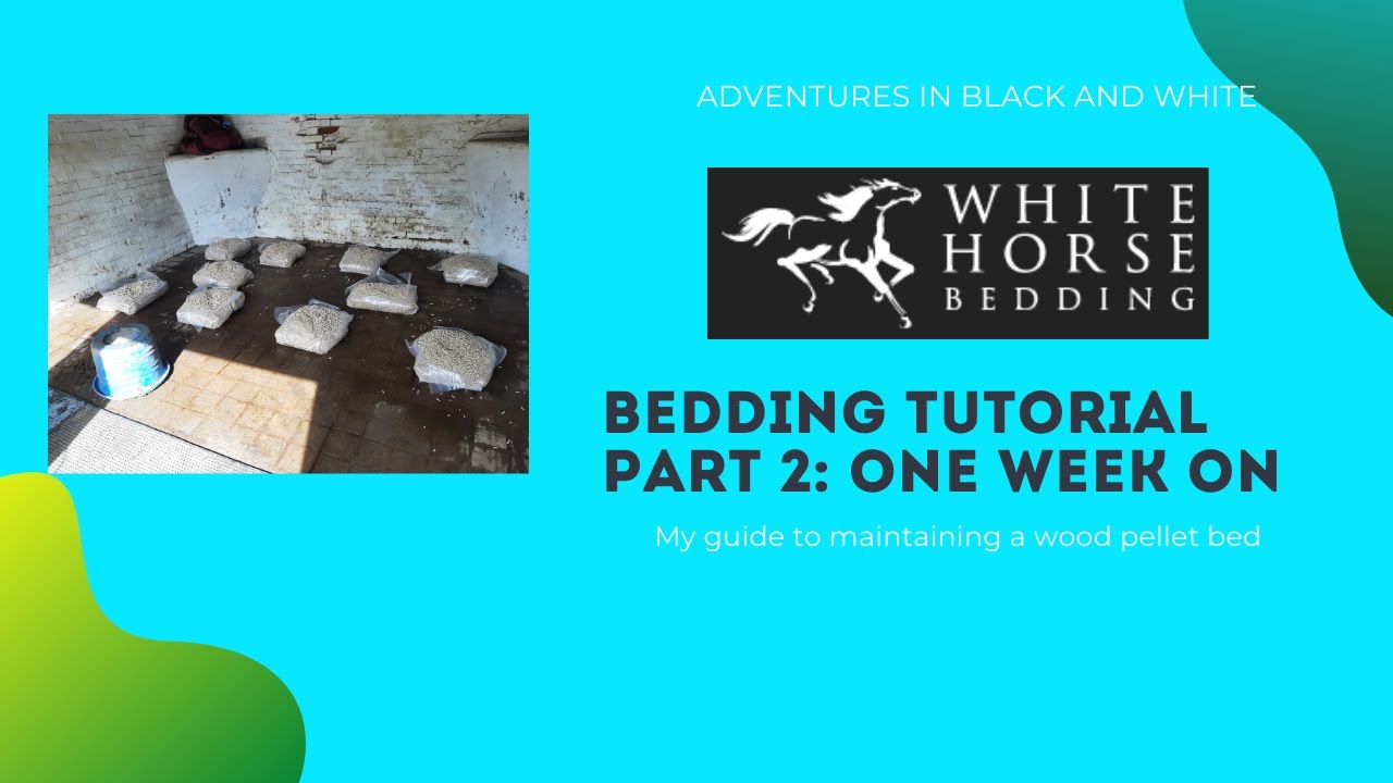 Stable Makeover Part 2 :// One Week On //Wood Pellet Bedding