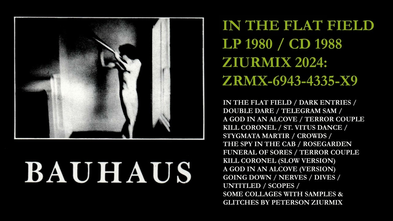 BAUHAUS IN THE FLAT FIELD / ZIURMIX