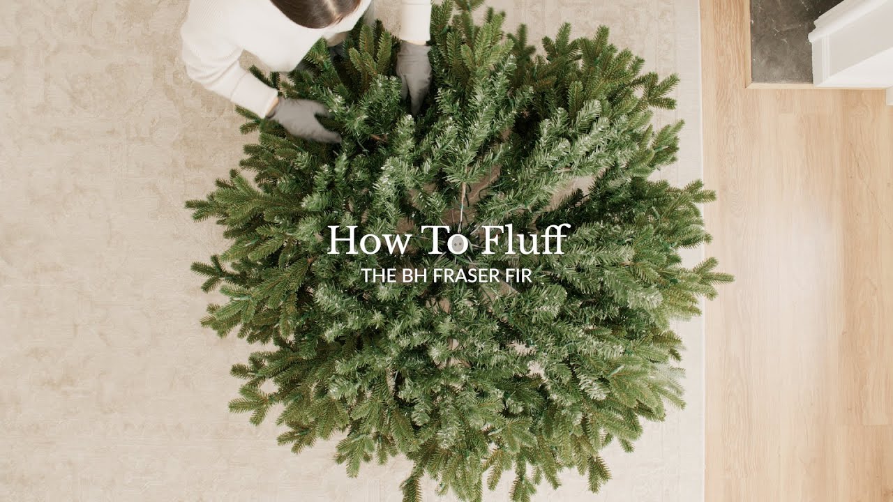 How to Fluff the BH Fraser Fir®