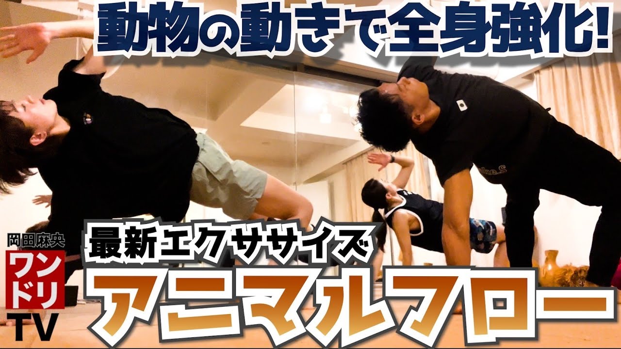 ワンドリTV【新感覚】動物のマネで動きが変わる？「アニマルフロー」を教えてもらいました！