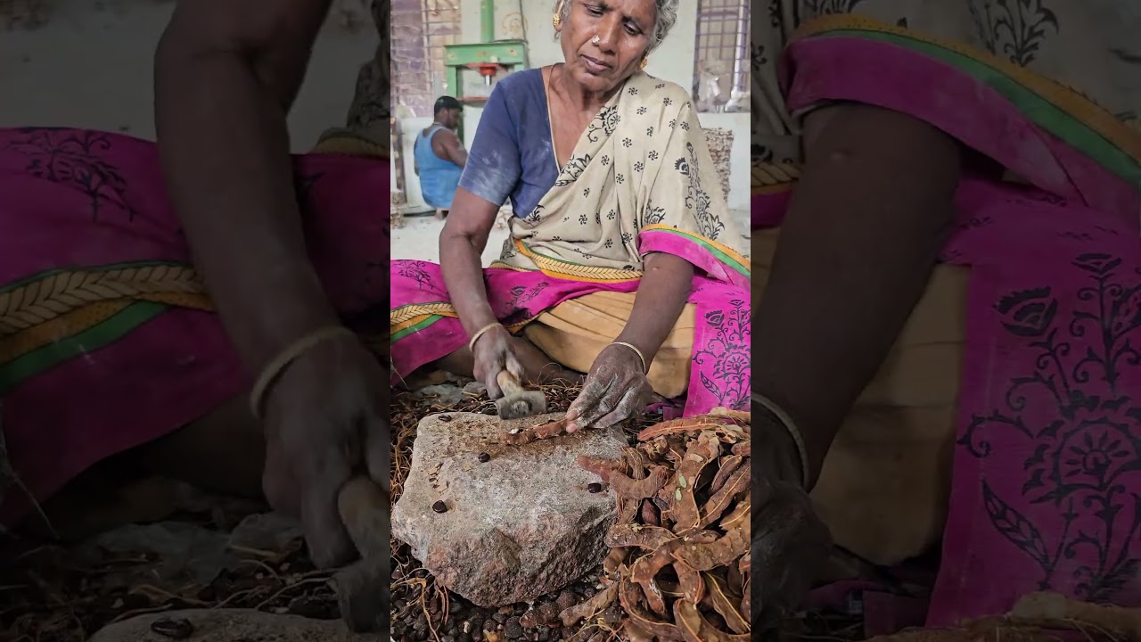 Old Lady Removing Tamarind Seeds with Hammer #tamarind #hammer #sour
