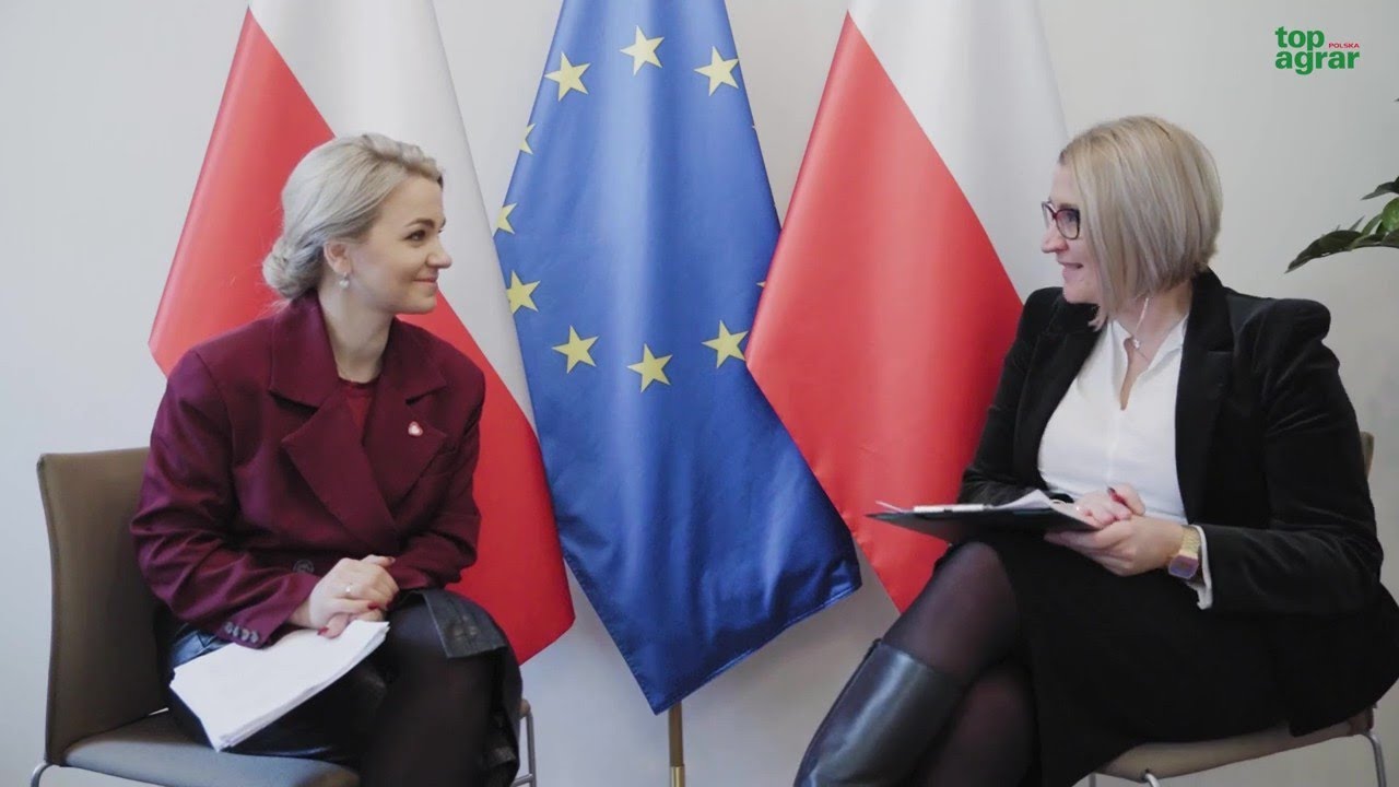 Jak uratować sektor wieprzowiny? Minister Gromadzka odpowiada