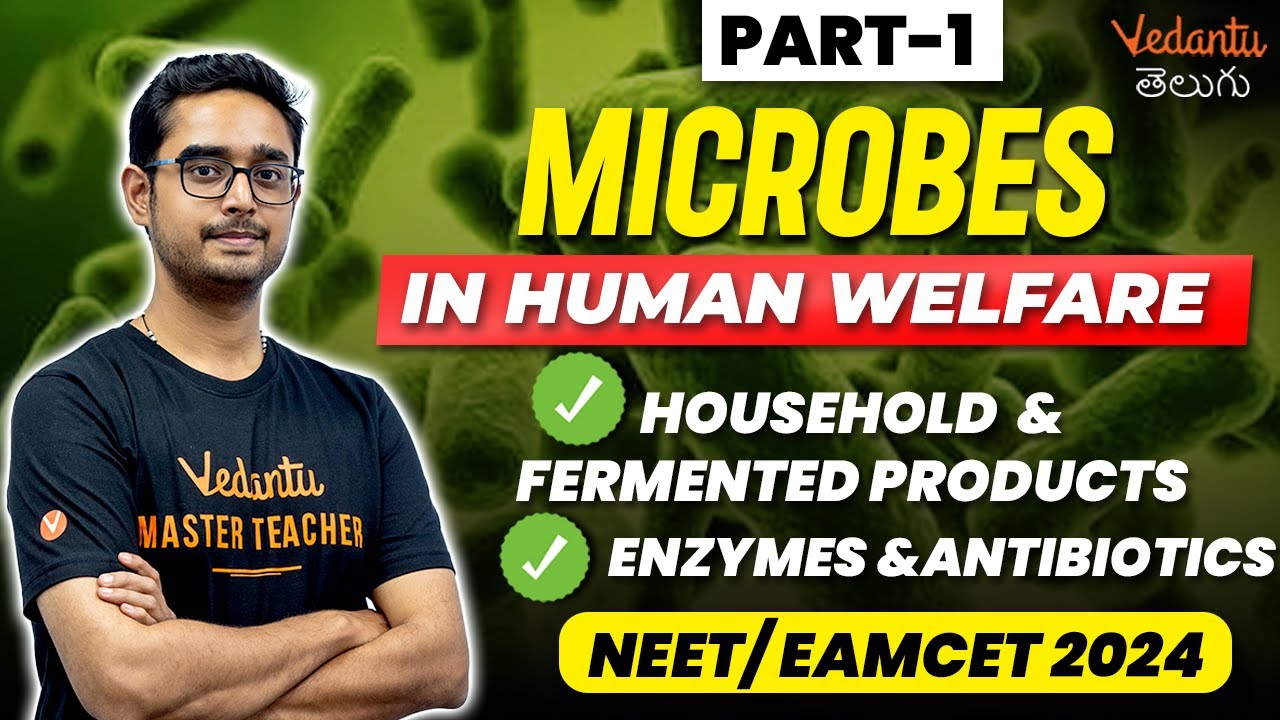Microbes In Human Welfare | Part-1 | NEET 2024 | EAMCET 2024  Ajay Sir | Vedantu Telugu