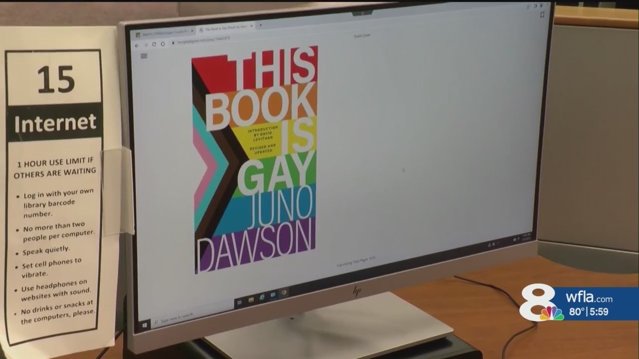 Hillsborough school board votes to ban 'This Book Is Gay' from middle school libraries