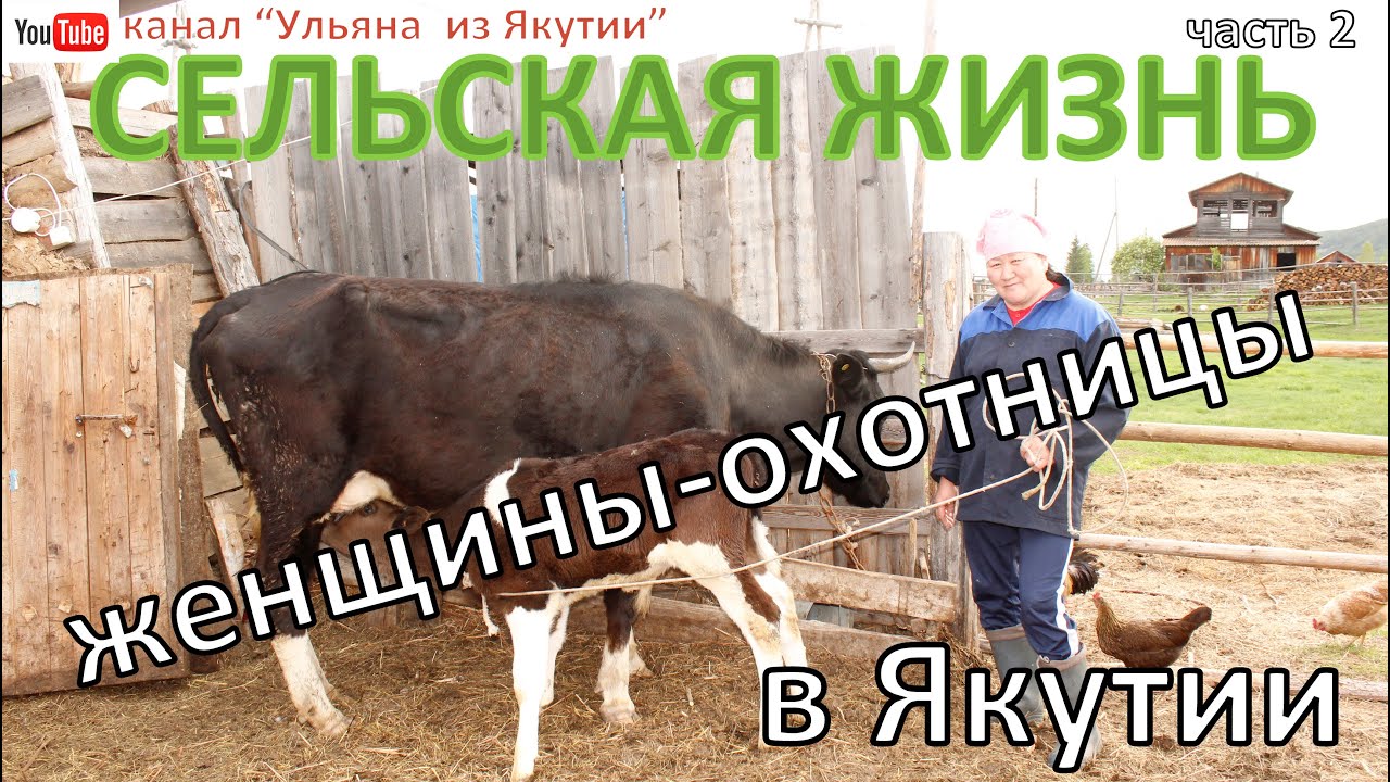 Жизнь  и быт в деревне Якутии женщины - охотницы / часть 2