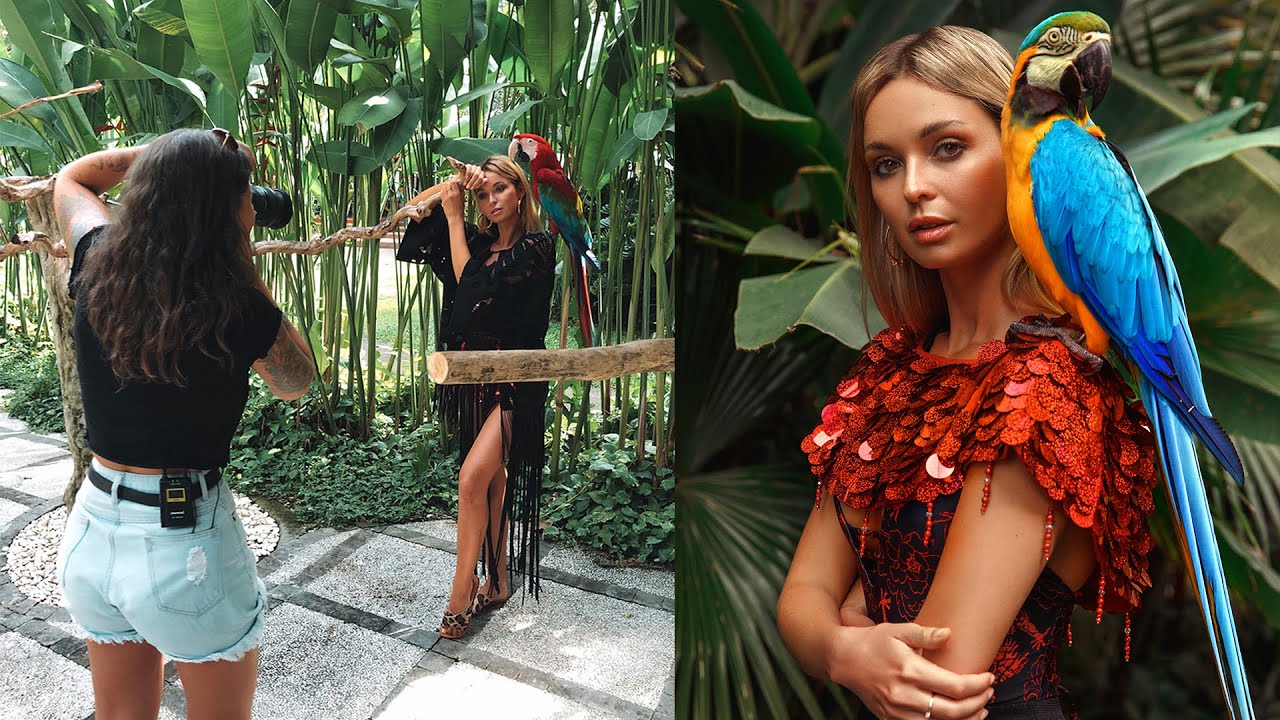 Natural Light Exotic Bird Photoshoot In Bali - Behind The Scenes