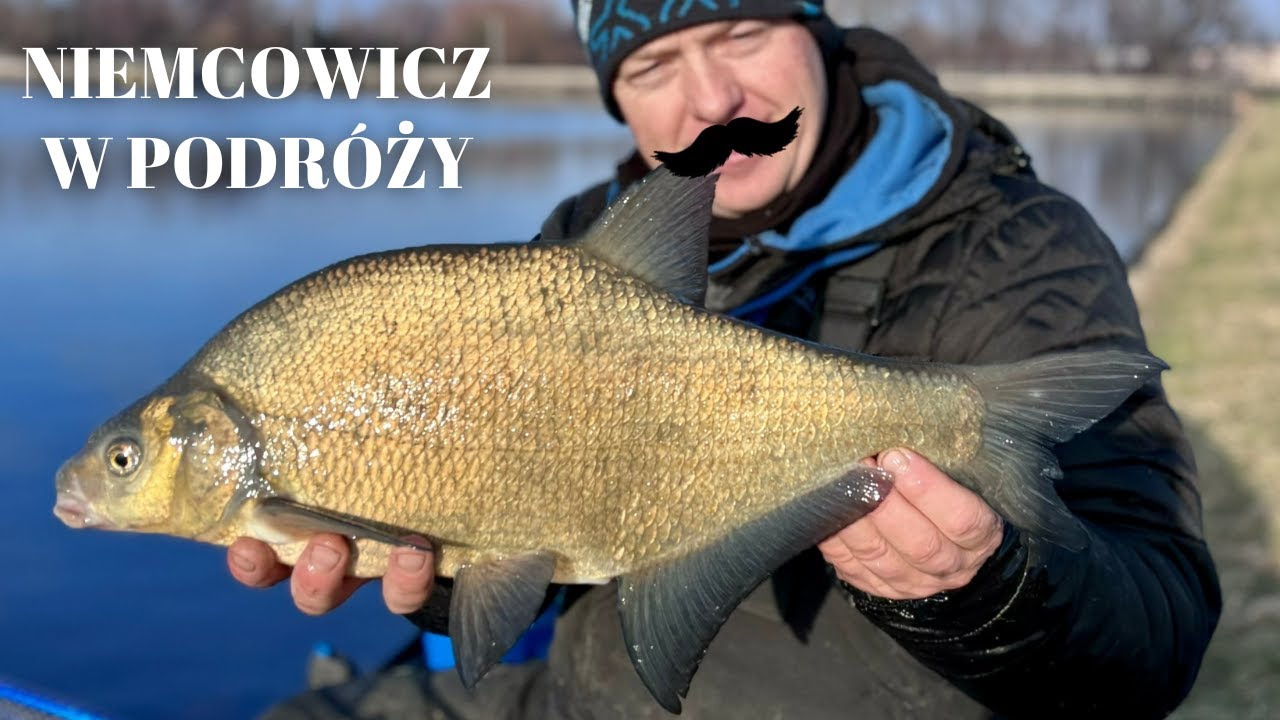 DUŻE LESZCZE Z RAWY - NIEMCOWICZ w PODRÓŻY - feeder klasyczny | Adam Niemiec