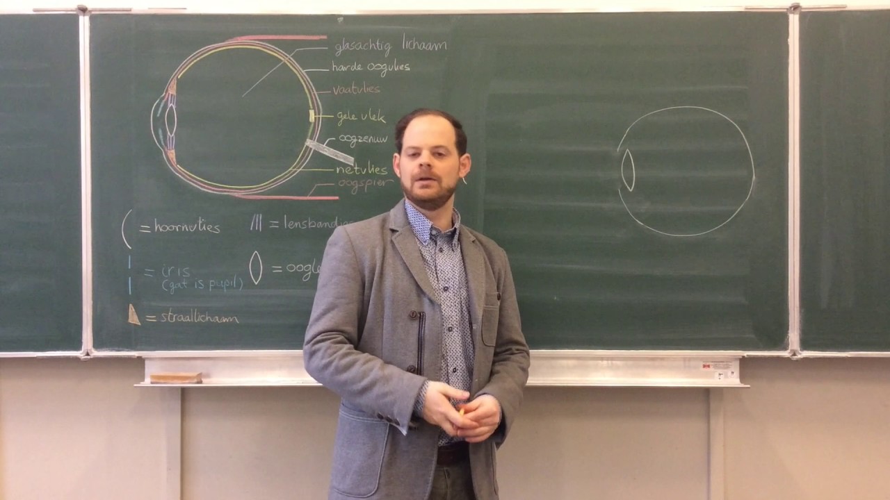 Biologie van Tim - Licht op het netvlies