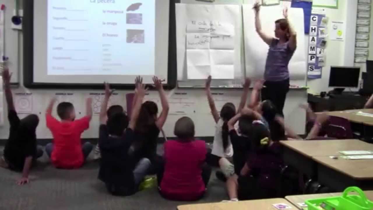 Biliteracy Unit in 2nd Grade Spanish