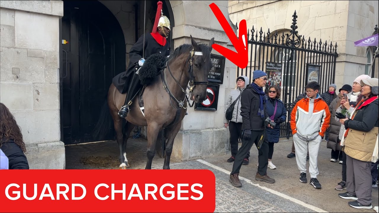 No Mercy at Horse Guards – Tourist Crosses Line, Gets Charged