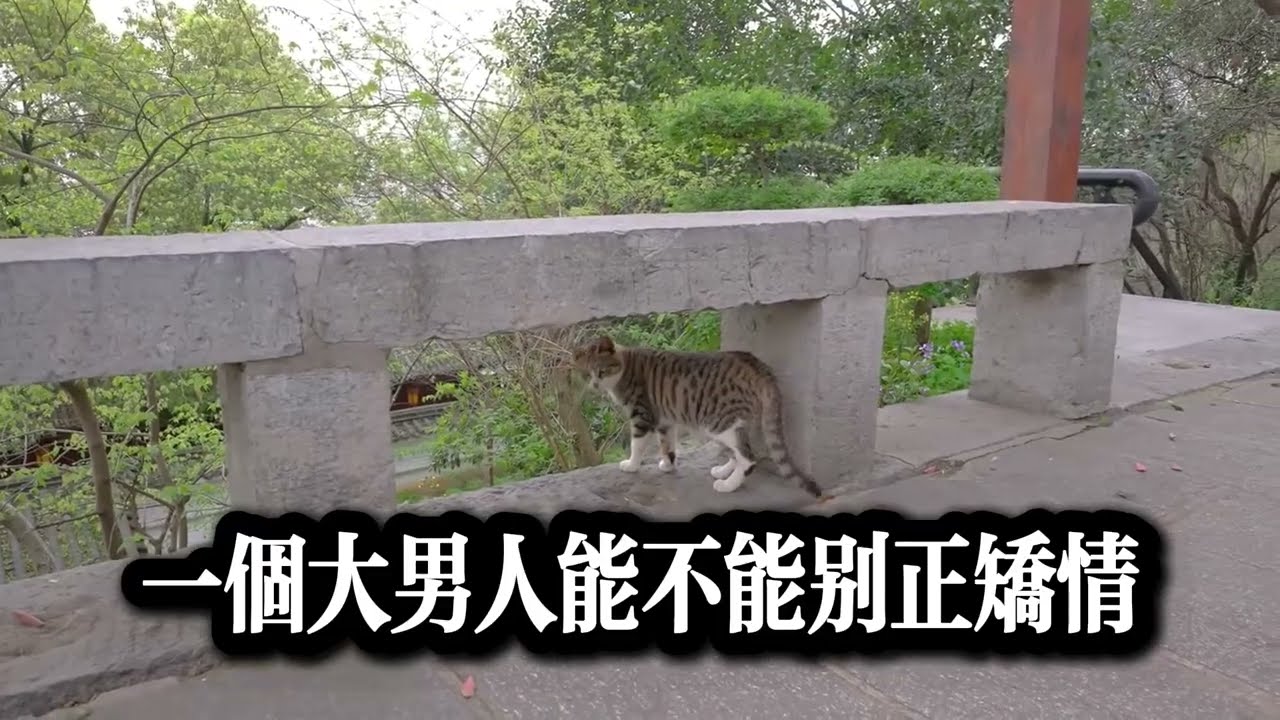 #外遇 #情感 #出軌 #出轨 #故事分享 #故事頻道 #感情 #倫理 #家庭倫理 #情感故事 #情感秘密 #两性 #分享 #心靈暖流 #婚外情 #正能量
