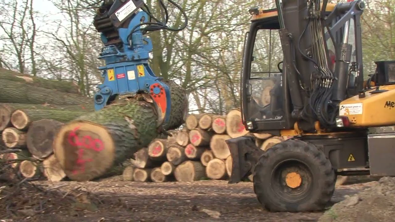 Groeneveldt Lumberjack LJ 150 Bomenknipper / Tree Shear - Tree Felling
