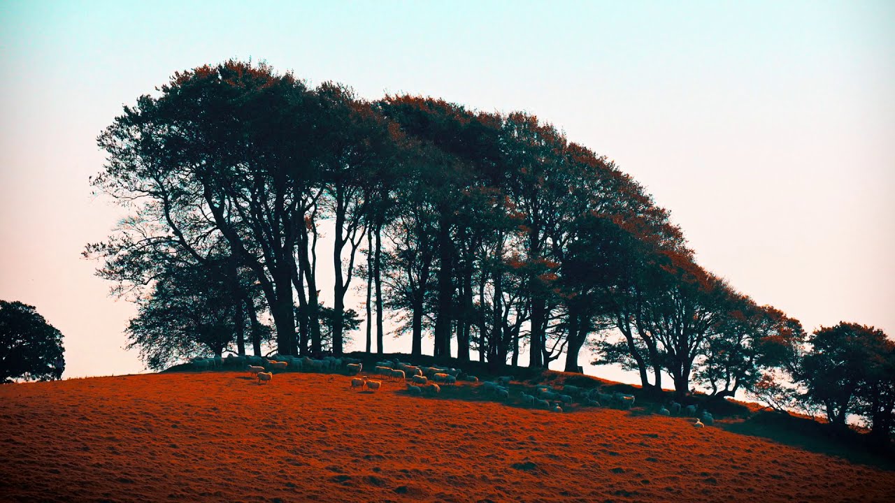 Autumn leaves. Lockdown mix by Pete Styles and Steve Foster.