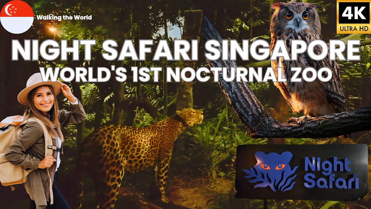 Singapore Night Safari 2025 FULL Tour | World's FIRST Nocturnal Zoo Experience [4K]