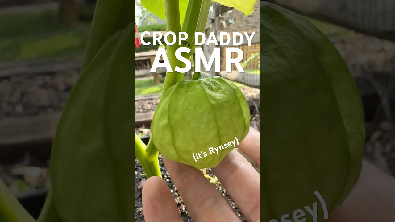 Crop Daddy ASMR fast garden tour