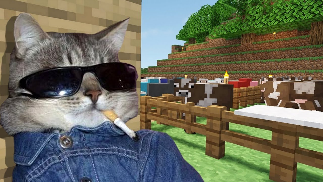Memes to just watch and relax