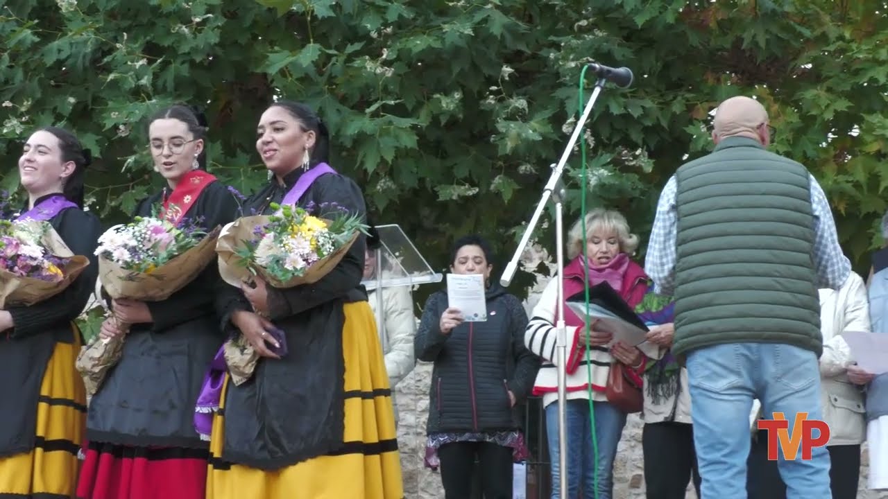 Pregón de las fiestas de San Cosme y San Damián - Covarrubias 2025