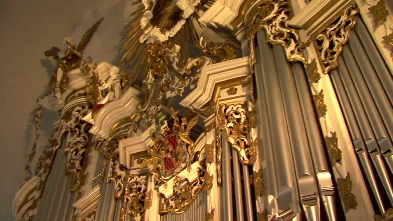 niezwykłe organy