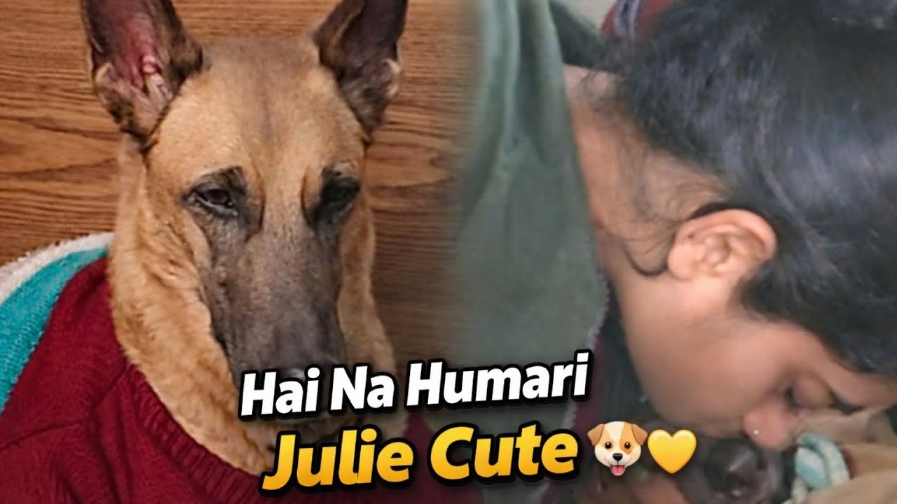 Humari Julie Cute Hai Na? 🐶❤️ | Family Vlog