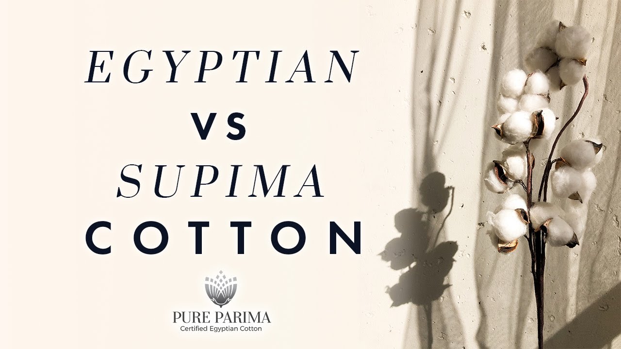 What Is the Difference Between Supima and Egyptian Cotton? | PURE PARIMA