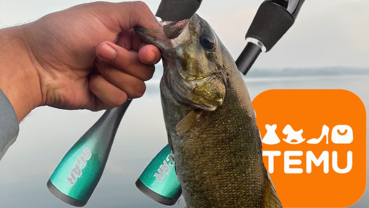 FREE TEMU ULTRALIGHT rod catches MONSTER SMALLMOUTH TIKTOK FAMOUS ROD