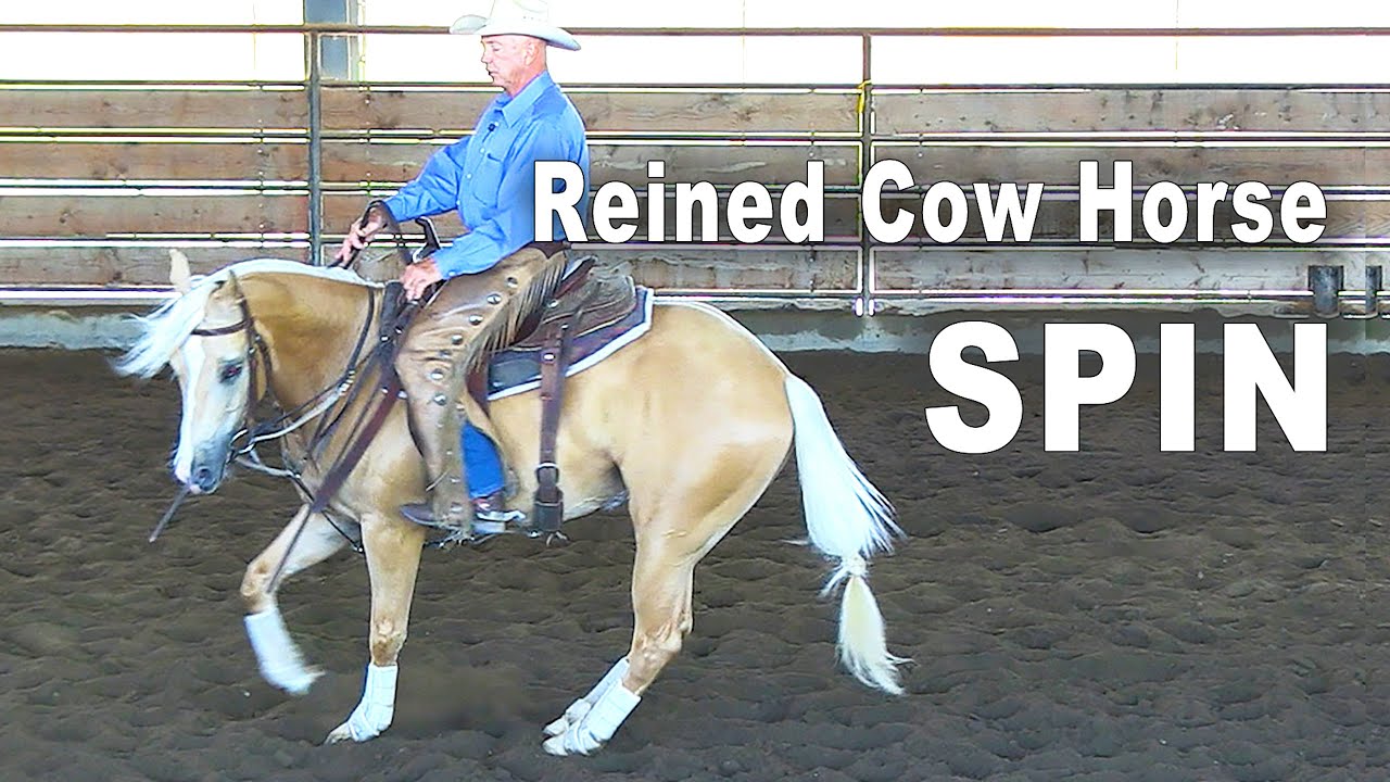 Horse Training For A Spin - Reining & Reined Cow Horse Training