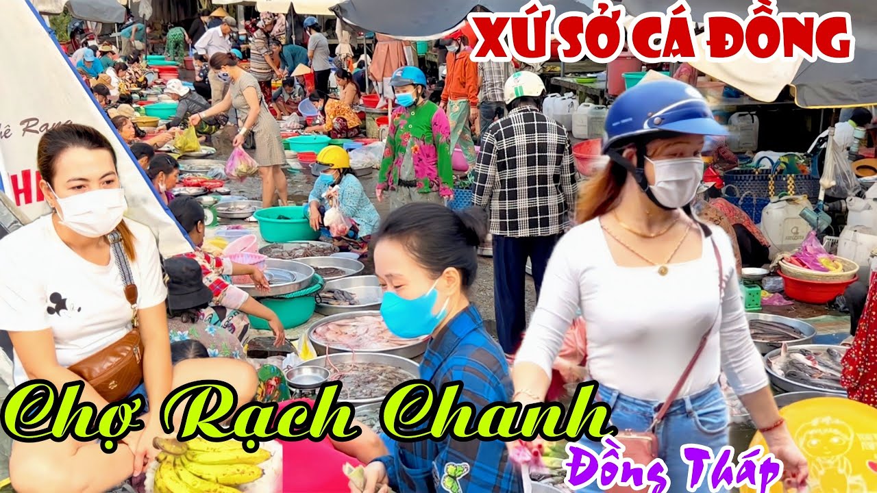 Thiên Đường Cá Đồng, Bánh Dân Gian CHỢ RẠCH CHANH, ĐỒNG THÁP - Đông Vui Chợ Cá, Bắt Mắt Chợ Rau|KPVL