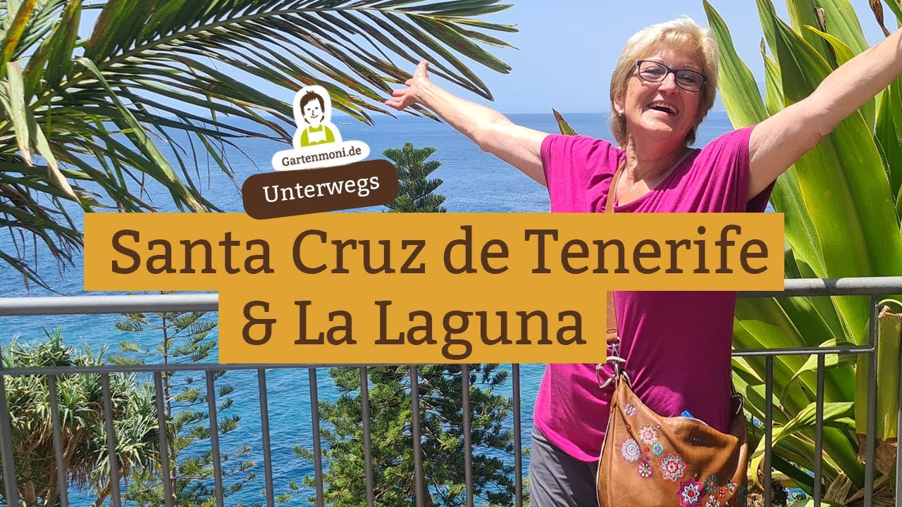 Grüße aus Teneriffa! Santa Cruz mit Palmengarten und Markthalle, La Laguna