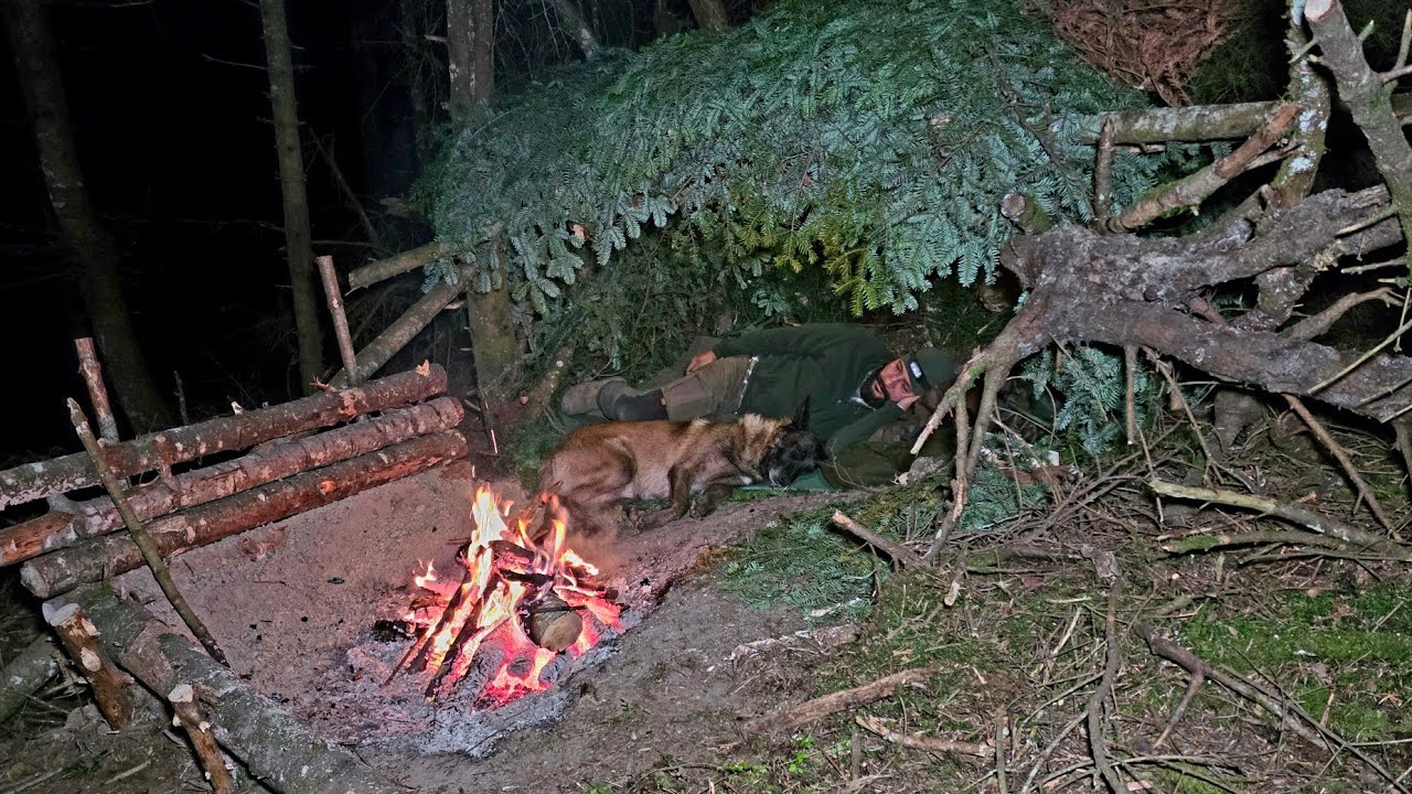 Выживание в горах с моей собакой | Примитивное убежище и ночь у костра