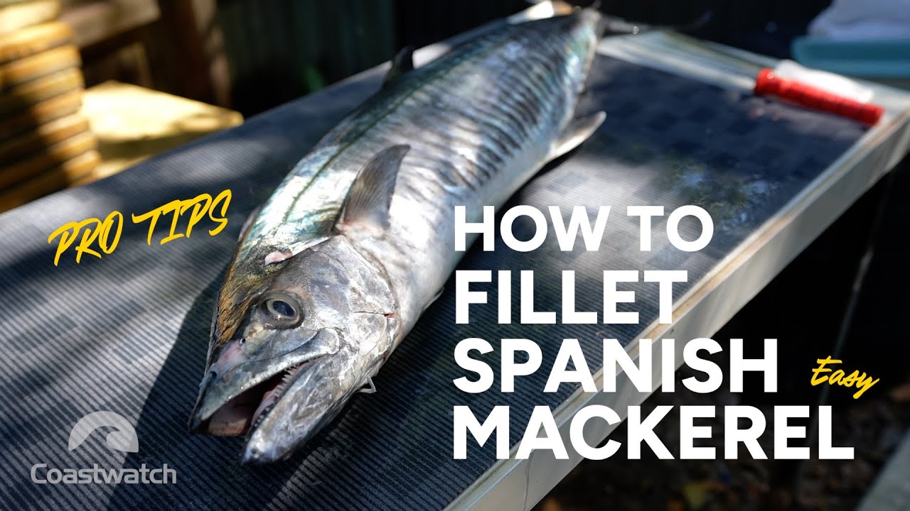 How to Fillet Spanish Mackerel - FAST and EASY