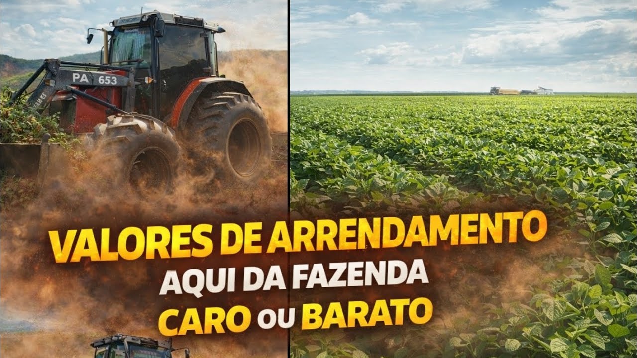 Vale a pena? Valores de terras aqui da fazenda no Maranhão🌱🚜💥