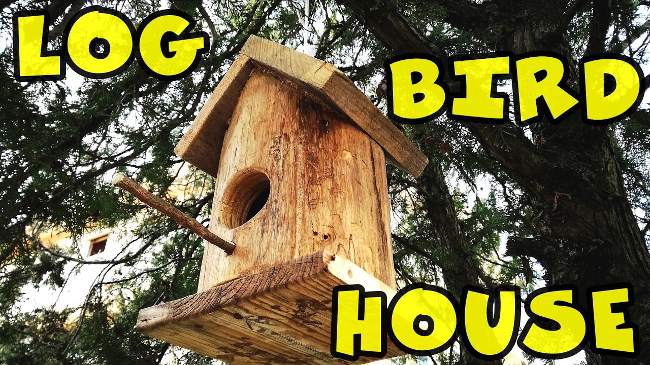 Log bird house