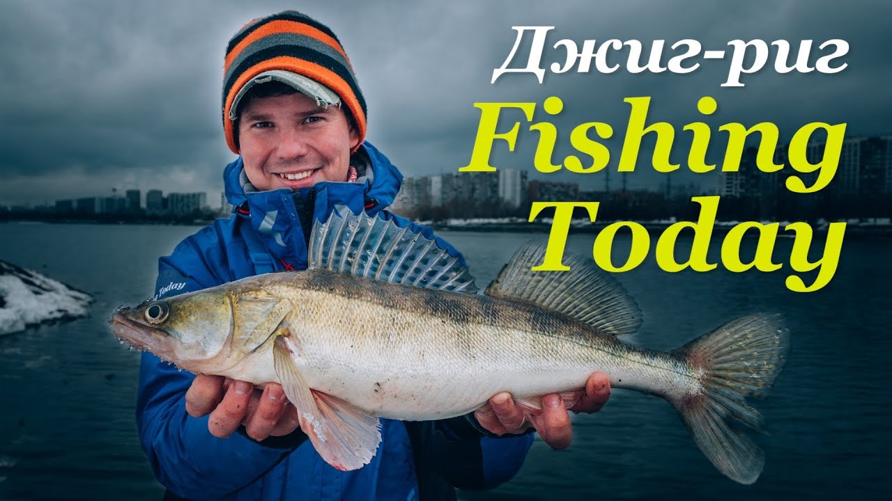 Азартная ловля судака и окуня на джиг-риг. TOP силиконовых приманок - Fishing Today