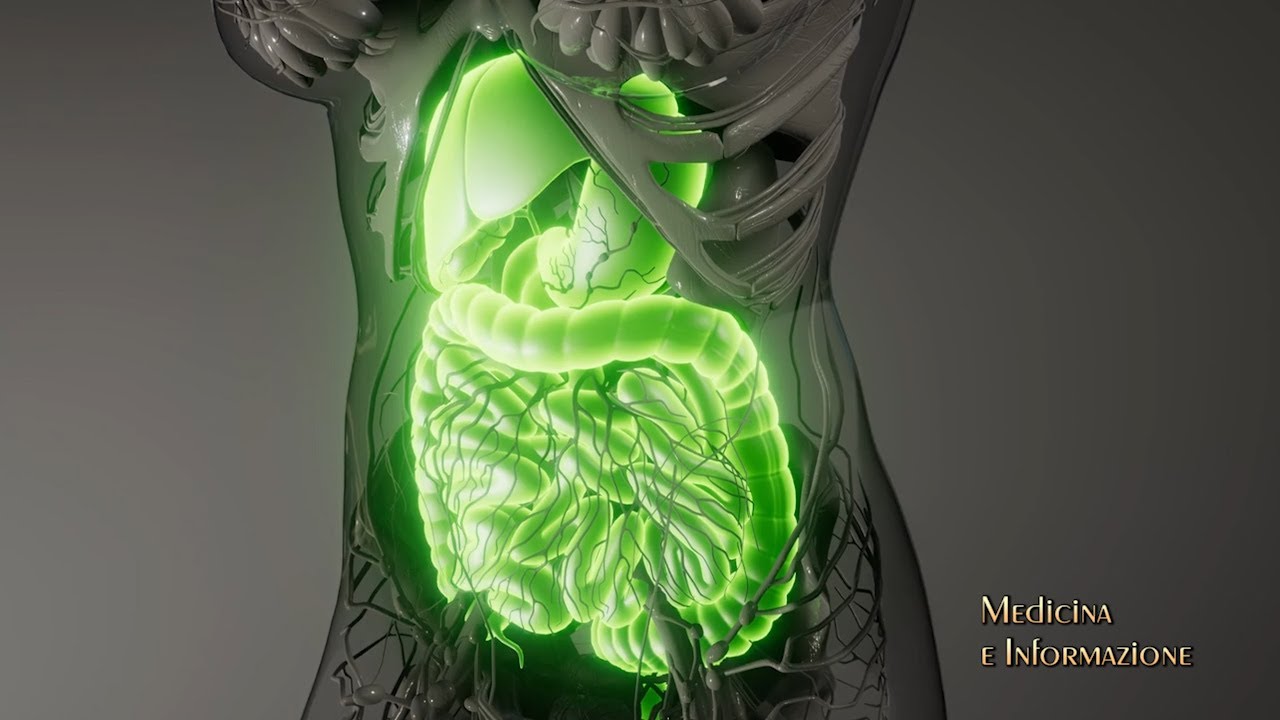 Tumori Gastrointestinali (stomaco, pancreas, colon-retto) le terapie più innovative