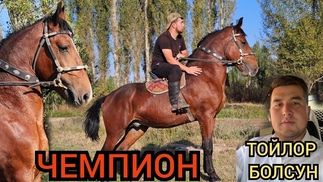 ЧЕМПИОН
