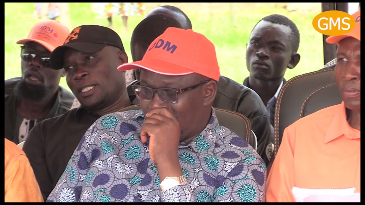Ong'ondo Were: We have Officially Replaced Elected ODM MPs who Defected to UDA.
